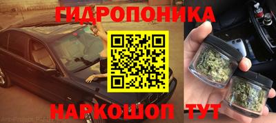 СК Кимры