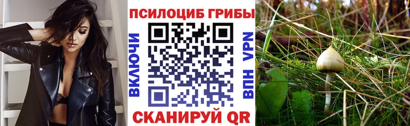 Псилоцибиновые грибы GOLDEN TEACHER Волгоград