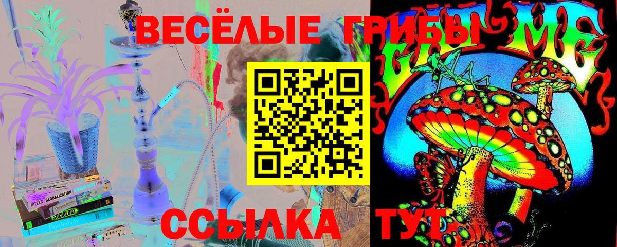 Псилоцибиновые грибы Cubensis Волгоград